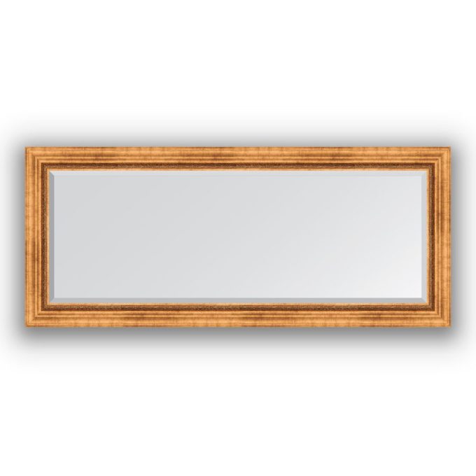 Veidrodis su rėmu 66x156