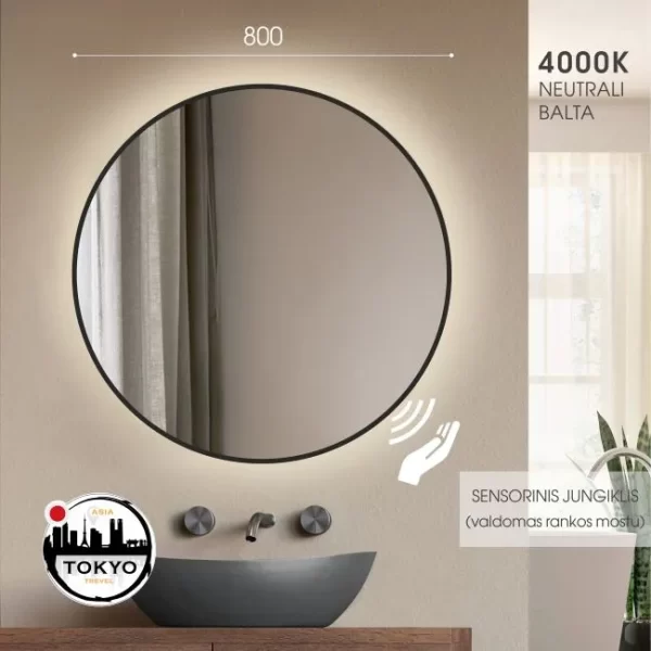 vonios veidrodis su juodu remu